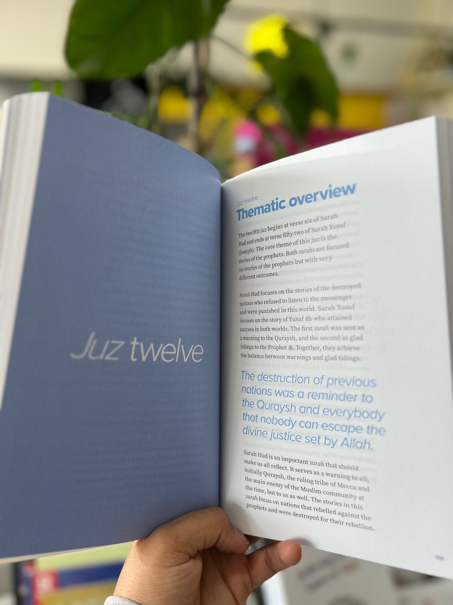 Qur'an 30 for 30 : Thematic Tafsir