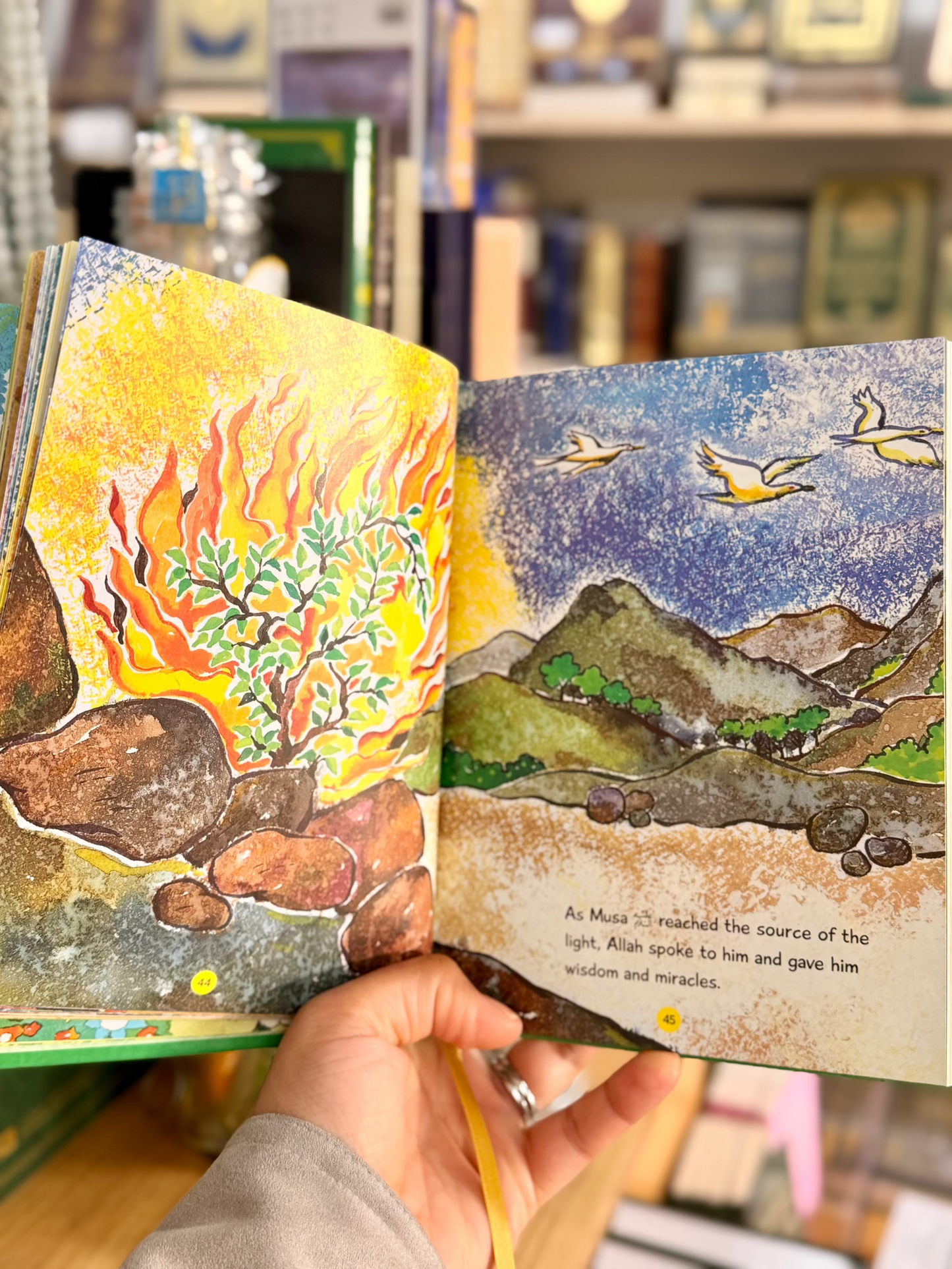 Amazing Quran Stories