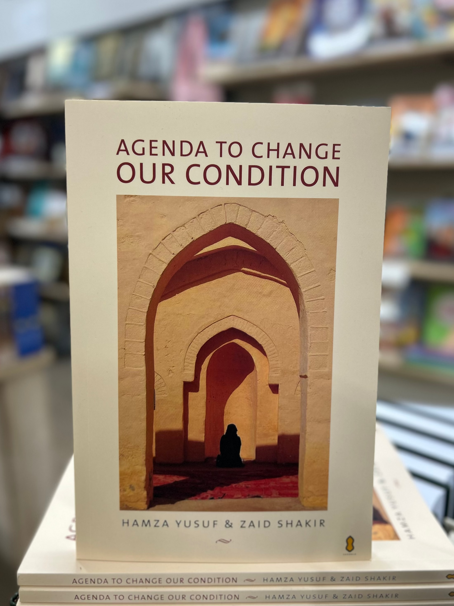 Agenda to Change our Condition