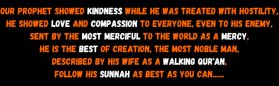 Getting to Know Muhammad : a Rhyming Verse Novel