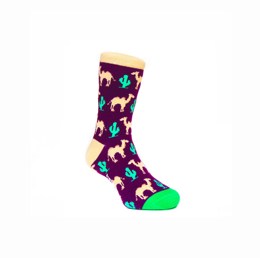 Halal Socks for Kids - Camels and Cacti