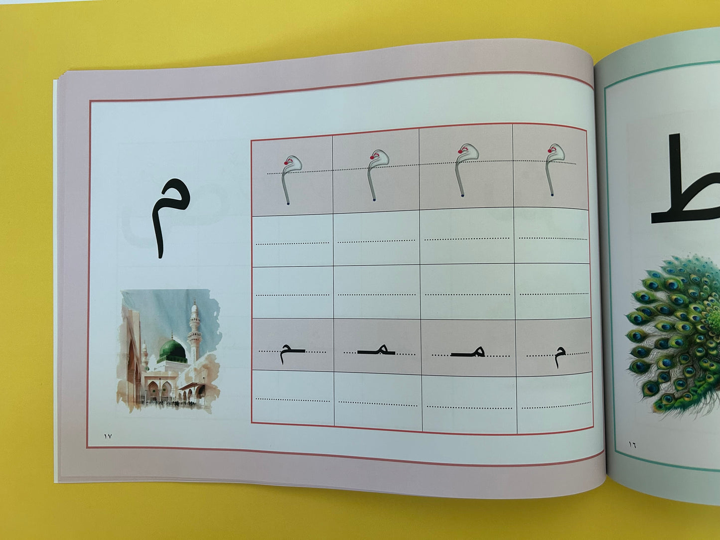 Writing my Arabic Letters (Arabic)