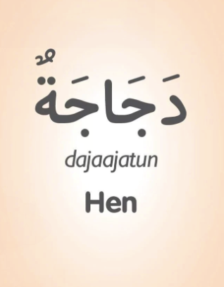My First 50 Arabic Words