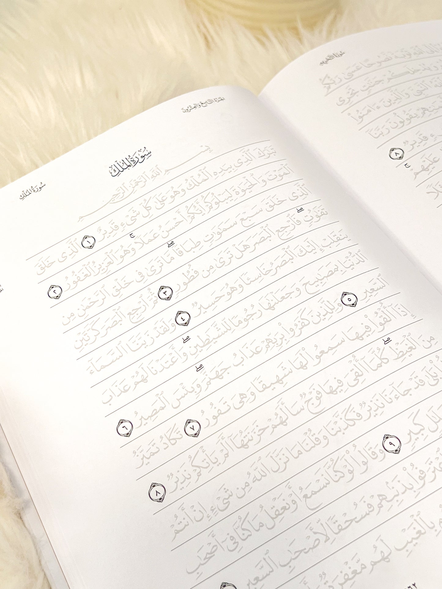Quran Trace