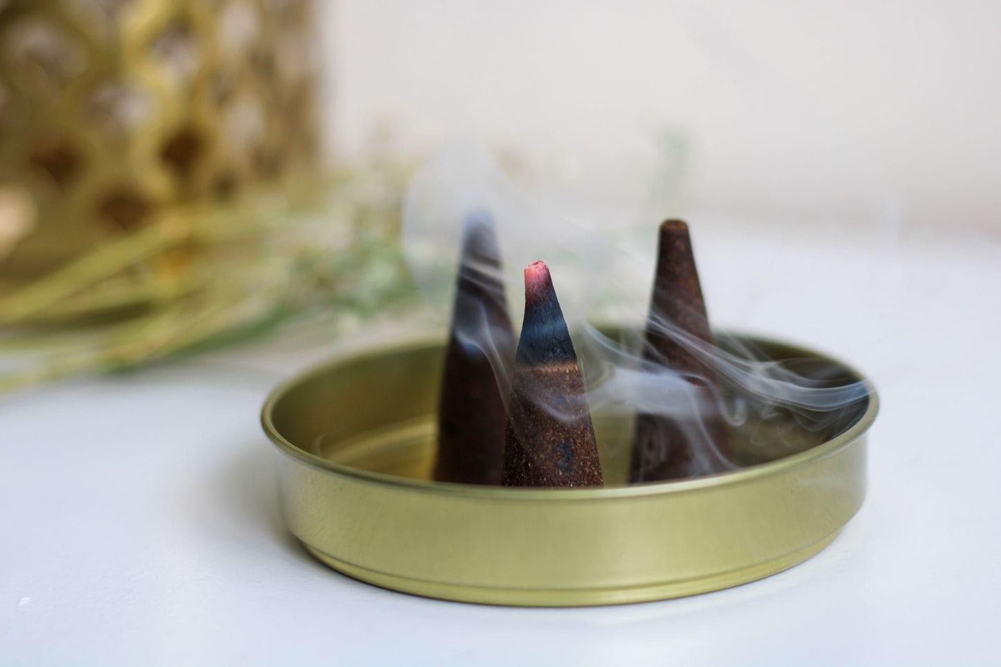 Rose & Oud Cones