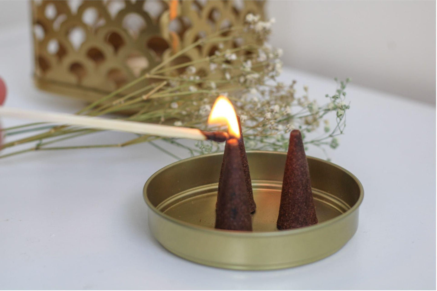 Rose & Oud Cones