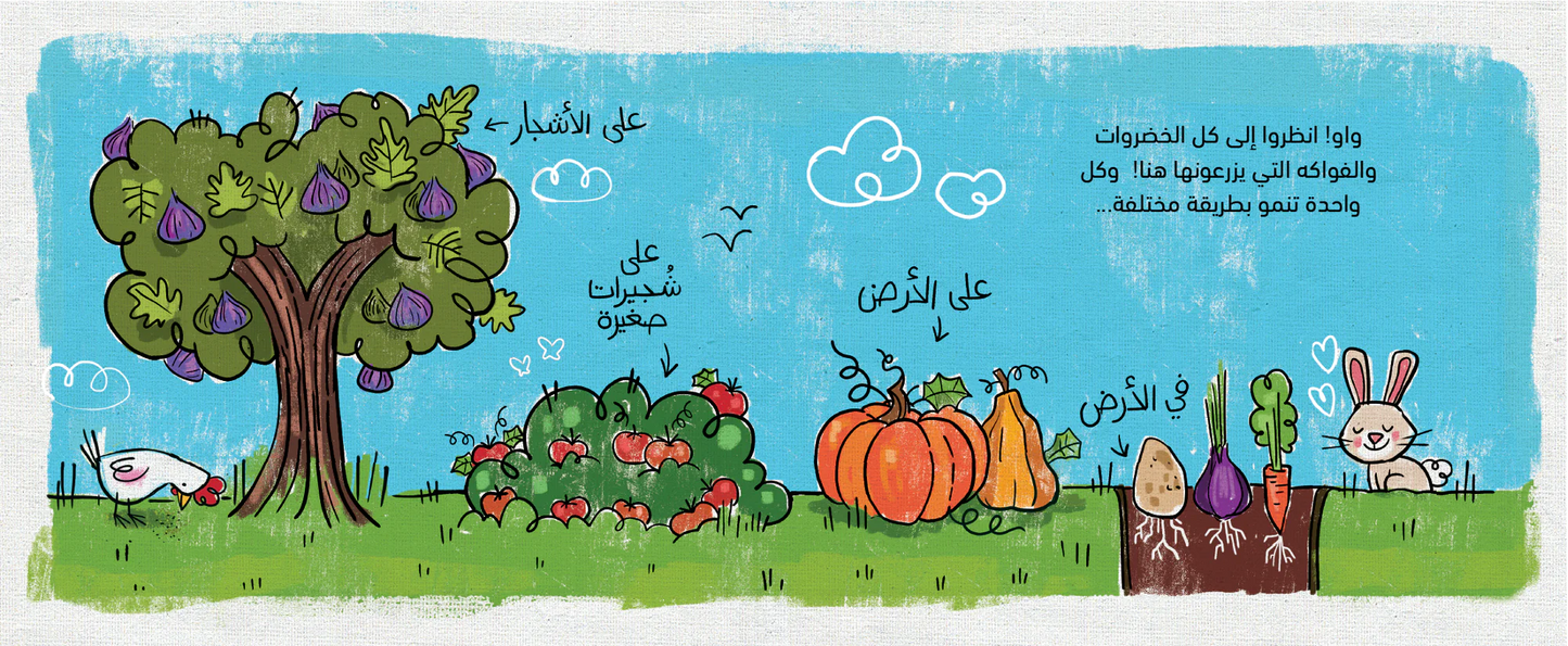 My Little Grocery - Fruits & Vegetables (Arabic)