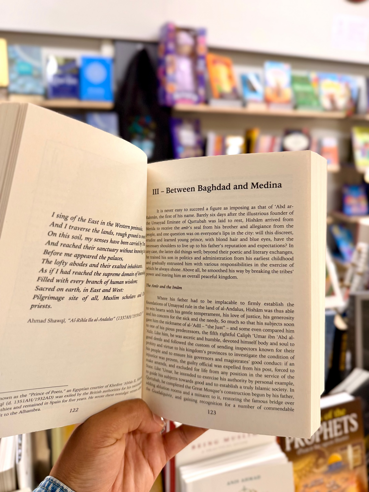 The Story of the Andalusis: An Islamic History of al-Andalus