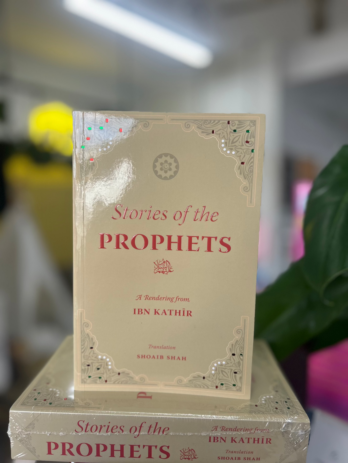 Stories of the Prophets: A Rendering from Ibn Kathir
