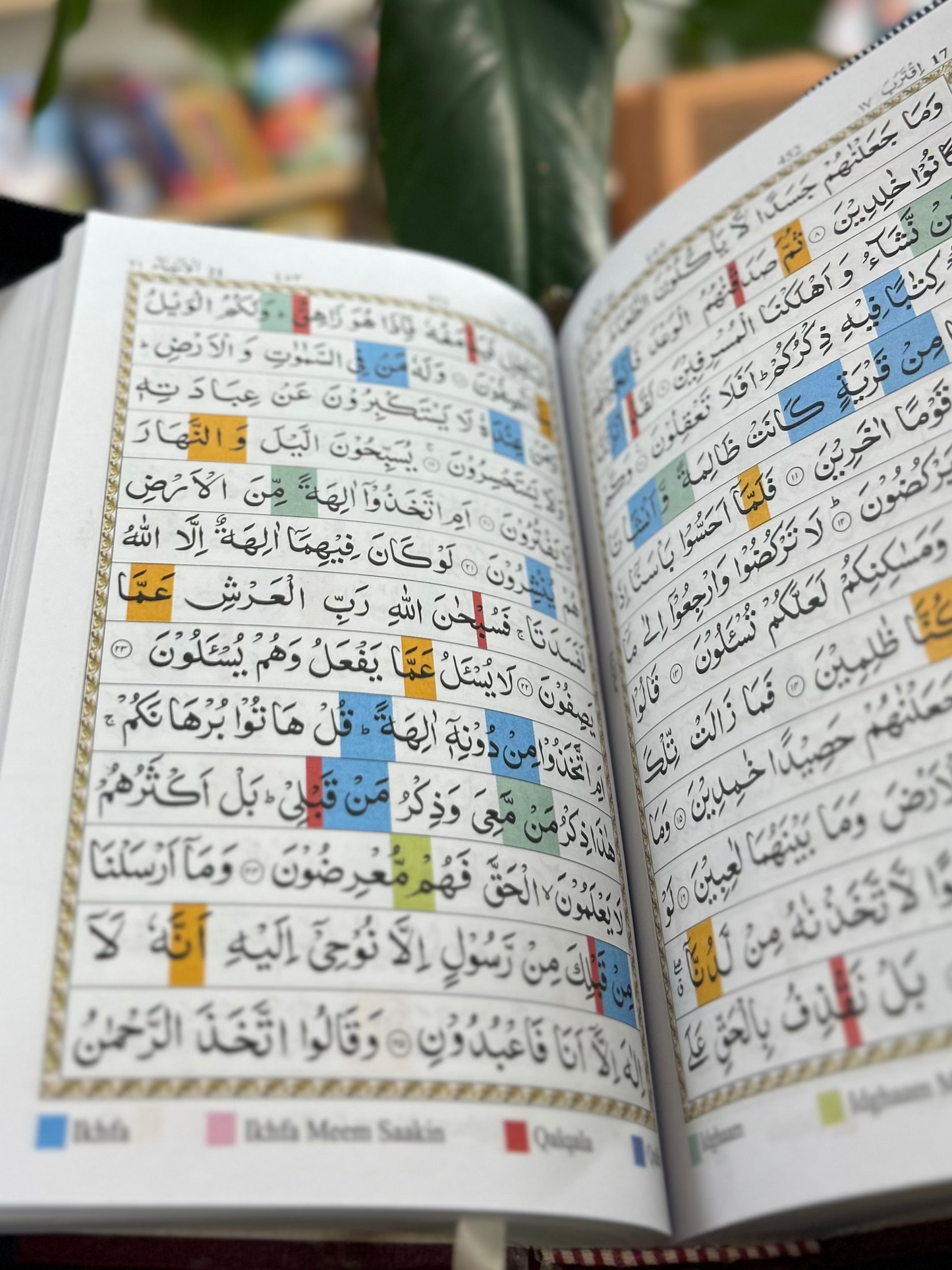 The Holy Quran (with Zip Case)