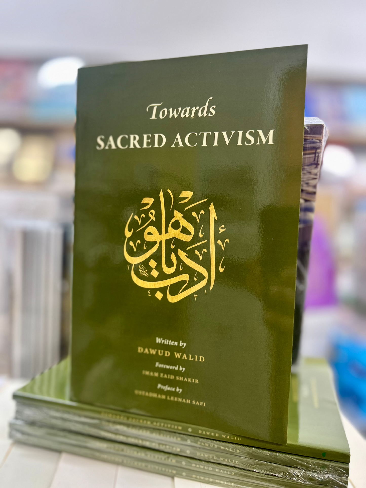 Towards Sacred Activism