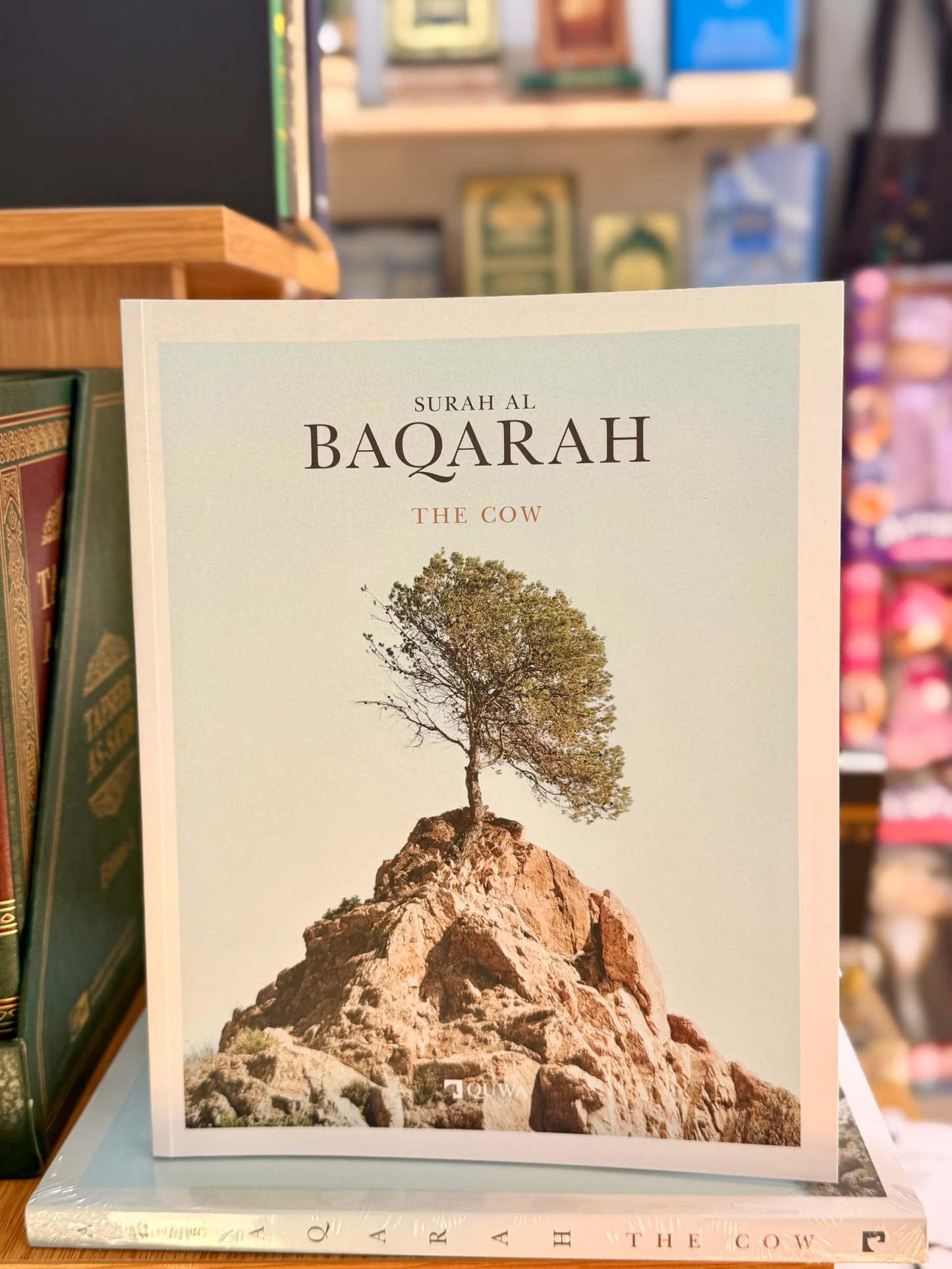 Surah Al-Baqarah | The Cow