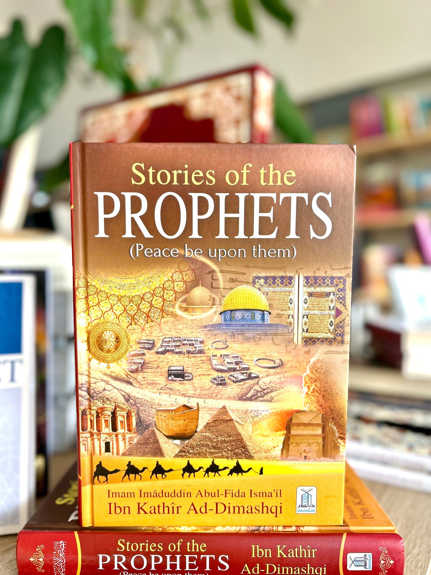 Stories Of The Prophets (Peace Be Upon Them) - Colour Edition
