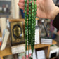 Oval Prayer Beads (33 Beads)