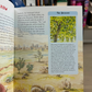 Tell Me About The Prophet Muhammad