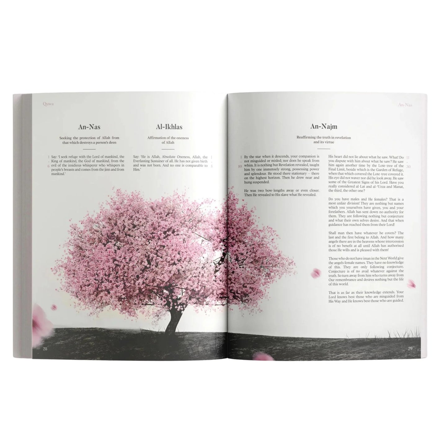 The Message Makkah Edition